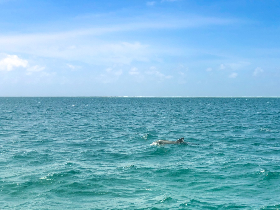 Best Mauritius Tours: Top-Rated Mauritius Excursions You'll Love