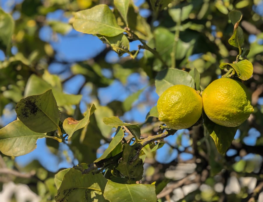 best places to see in Ostuni, Italy