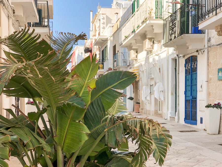 13 Best Things to Do in Polignano a Mare - the Jewel of Puglia