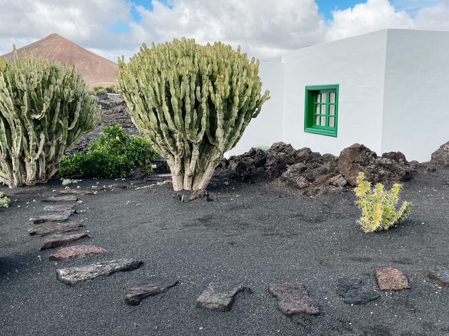 Review, Tips, and What to Expect on a North Lanzarote Tour