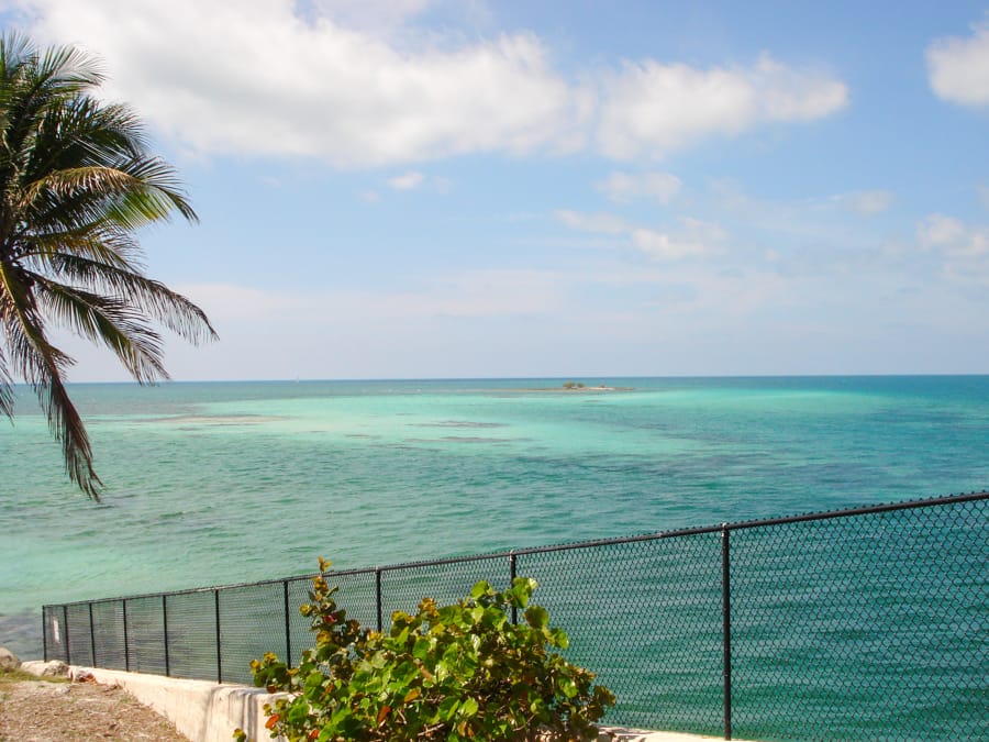 Things to do in Key West in December - Winter in Key West guide for Travelers (Florida)