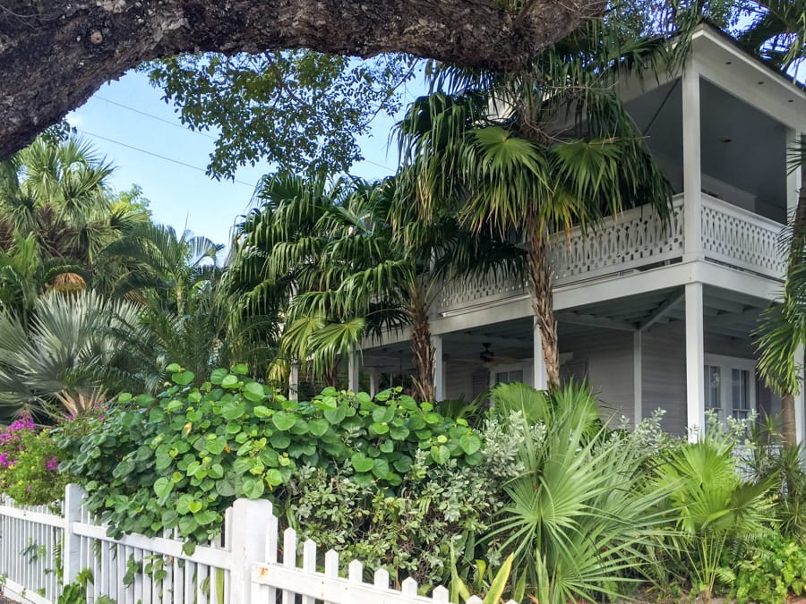 12 Fun and Festive Things to Do in Key West in December
