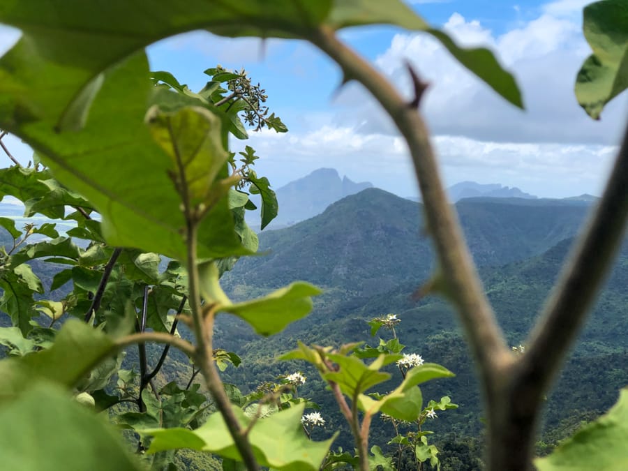 Que faire à l'ïle Maurice ? (Top 25 des attractions et plus !)