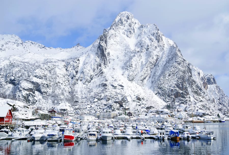 Lofoten Sea Eagle Safari in Trollfjord: How to Book + Practical Info