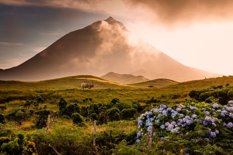 7 Fantastic and Delicious Things to Do on Pico (Azores)