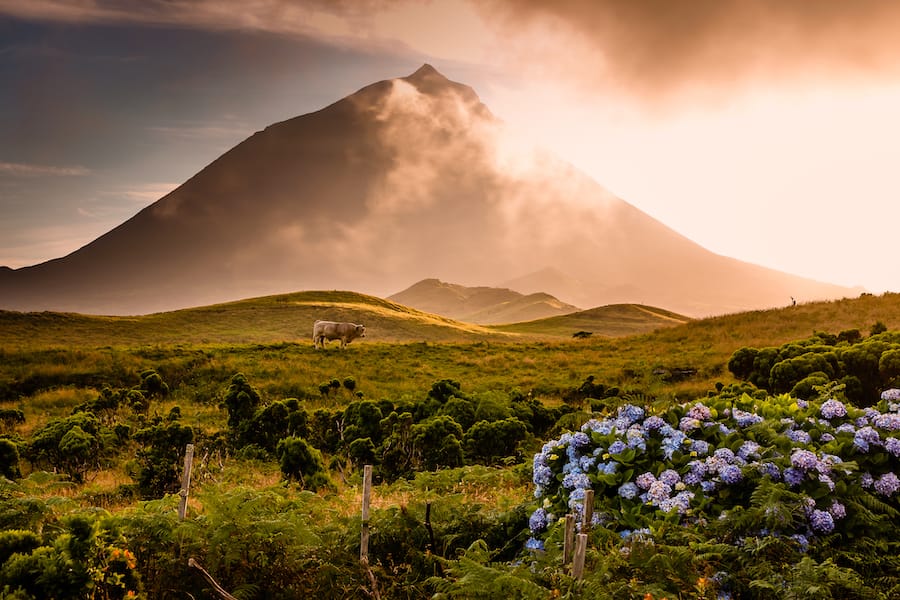7 Things to Do on Pico, the Mountain Island in the Azores
