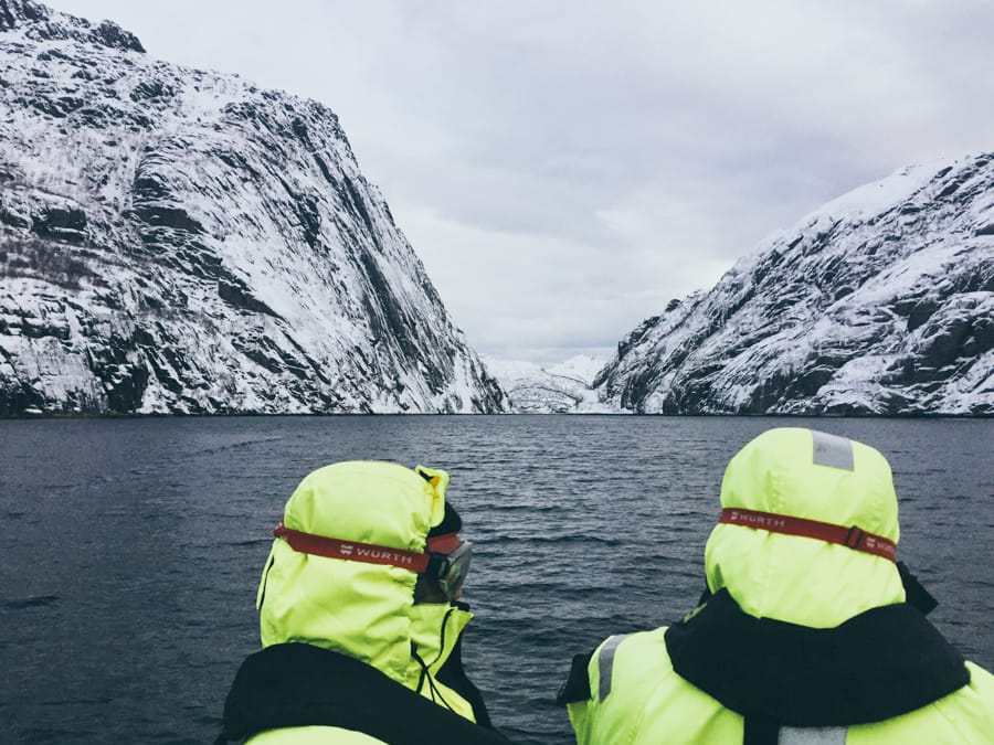 Lofoten Sea Eagle Safari in Trollfjord: How to Book + Practical Info