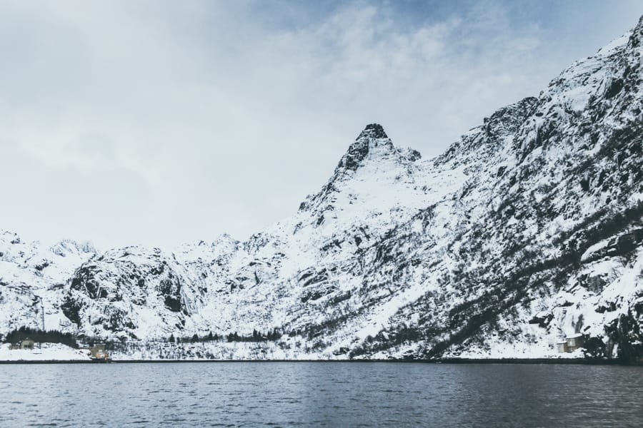 Lofoten Sea Eagle Safari in Trollfjord: How to Book + Practical Info