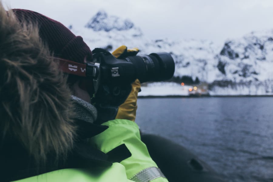 Lofoten Sea Eagle Safari in Trollfjord: How to Book + Practical Info