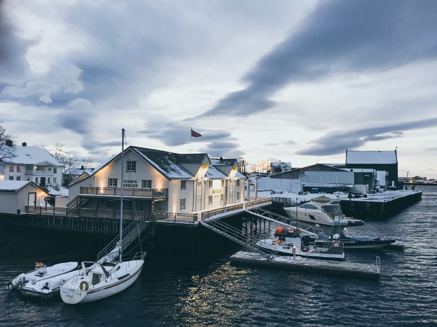 Lofoten Sea Eagle Safari in Trollfjord: How to Book + Practical Info