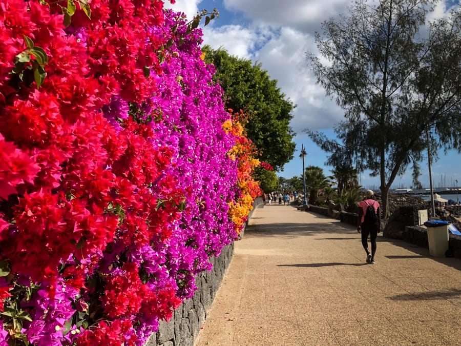 12 Things to Do in Playa Blanca, Lanzarote's Newest Resort Town