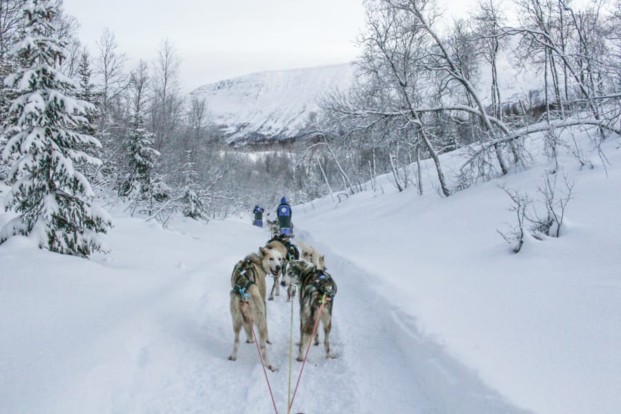 Tromsø itinerary- how to maximize your Tromsø trip with 2-5 days there (best northern lights tours, dog sledding tours, etc)