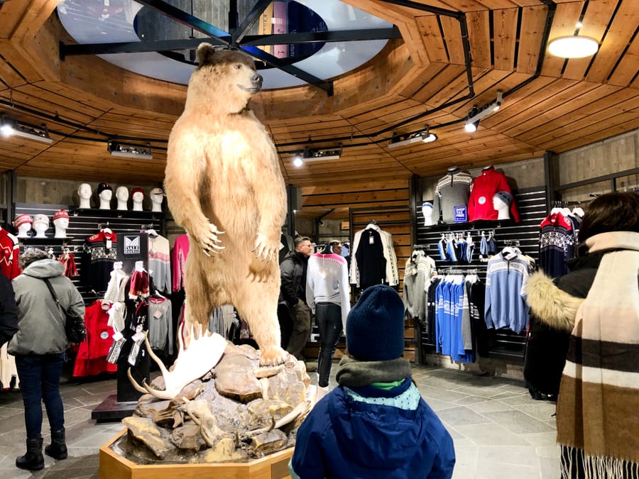 Oslo Discovery Tour review, tips, faq, and more! Inside the Holmenkollen souvenir and gift shop