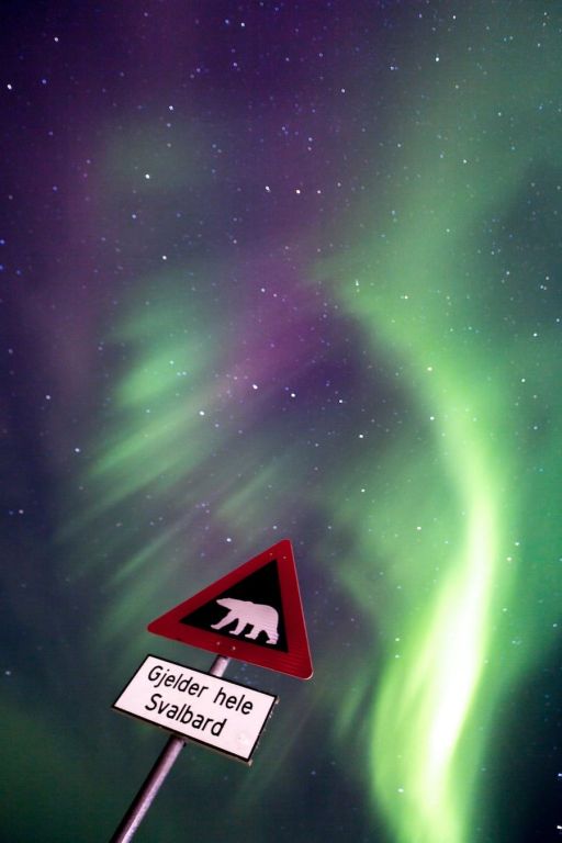Svalbard Northern Lights Guide: How to See Them (+ Tips!)