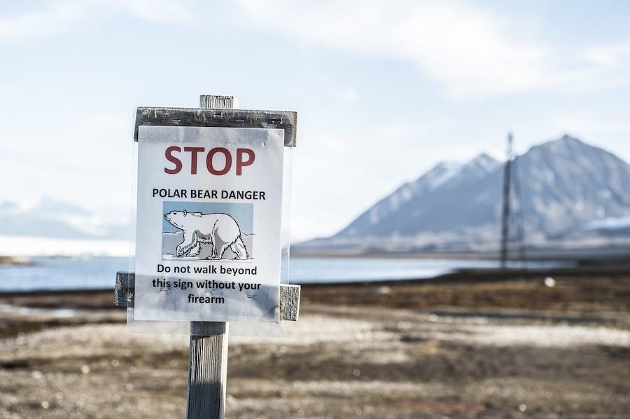Things to know before visiting Svalbard and Longyearbyen