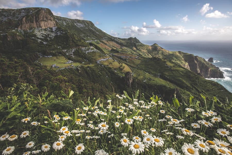 What to Know Before You Go Sailing in the Azores (+ Tips!) Sailing in Faial