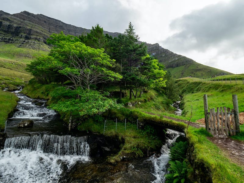 Kunoy, Faroe Islands: Home of the Famous Faroese Forest