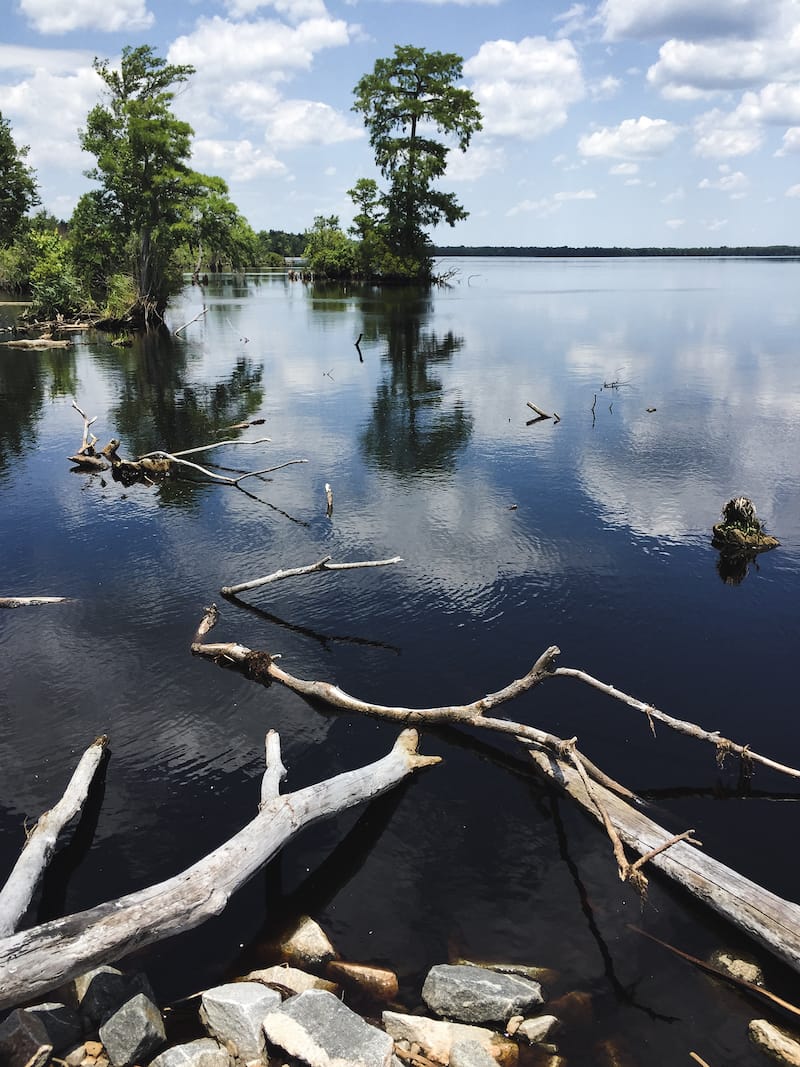 How to Visit the Great Dismal Swamp in Virginia (+ Tips)