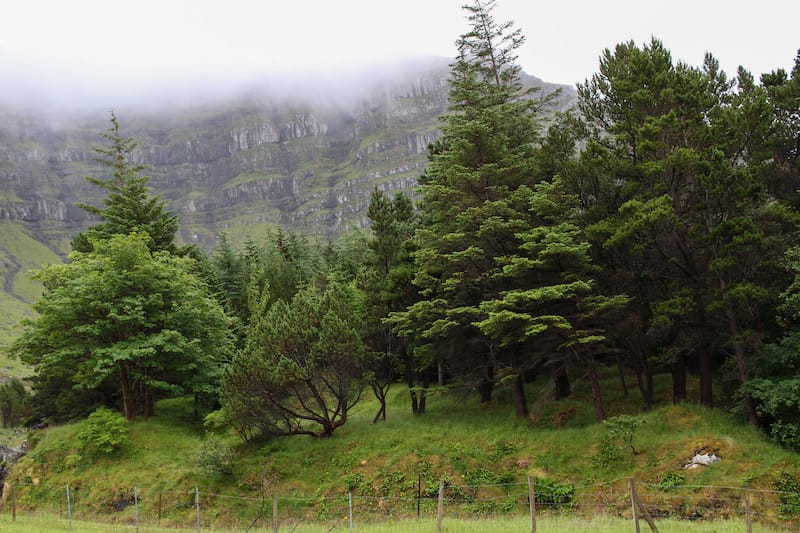 Kunoy, Faroe Islands: Home of the Famous Faroese Forest