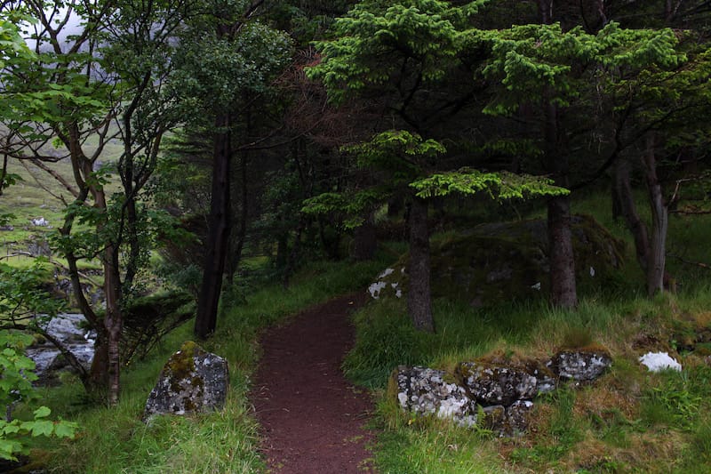 An island in the north of the Faroe Islands that often is forgotten about is Kunoy island. This is a Kunoy travel guide, including the forest on Kunoy and more.