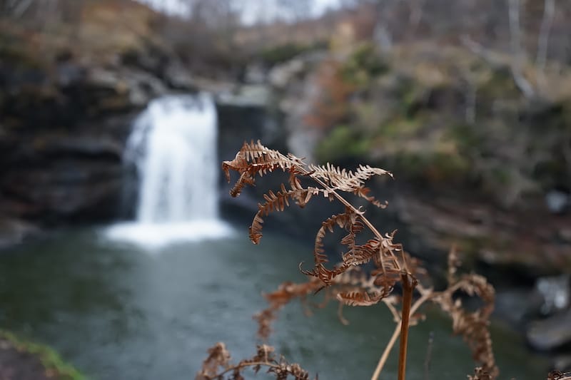 glasgow day tours: falls of falloch