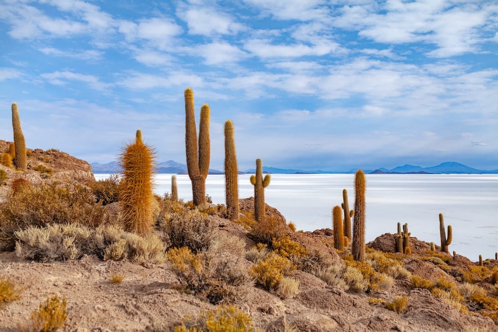 12 Very Useful Things to Know Before You Travel to Bolivia