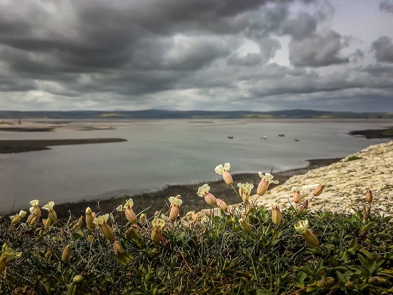 Northumberland coast: Recommended by Anisa at 2 Traveling Texans