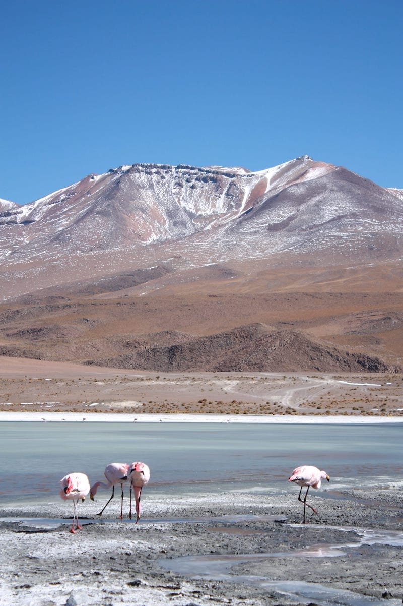 12 Very Useful Things to Know Before You Travel to Bolivia