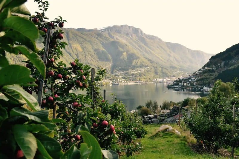 Odda Airbnb guide