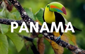 Megan & Aram Travel Destinations | Travel to Panama