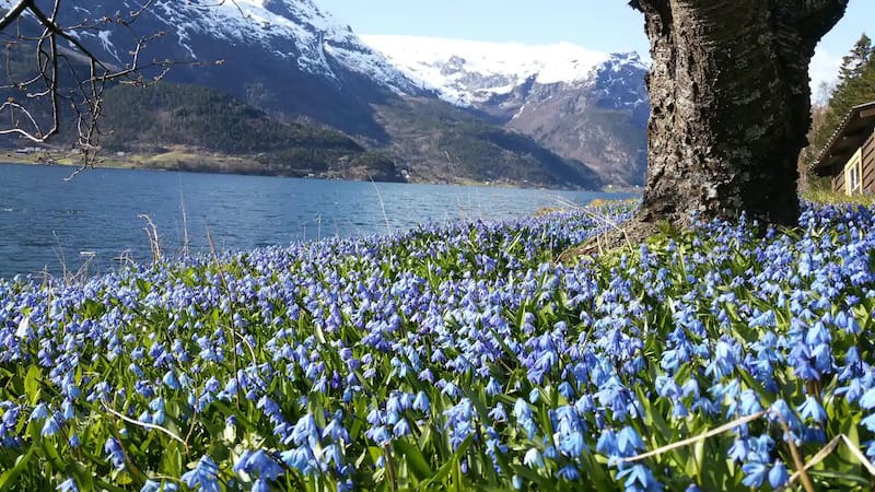 Trolltunga Airbnbs