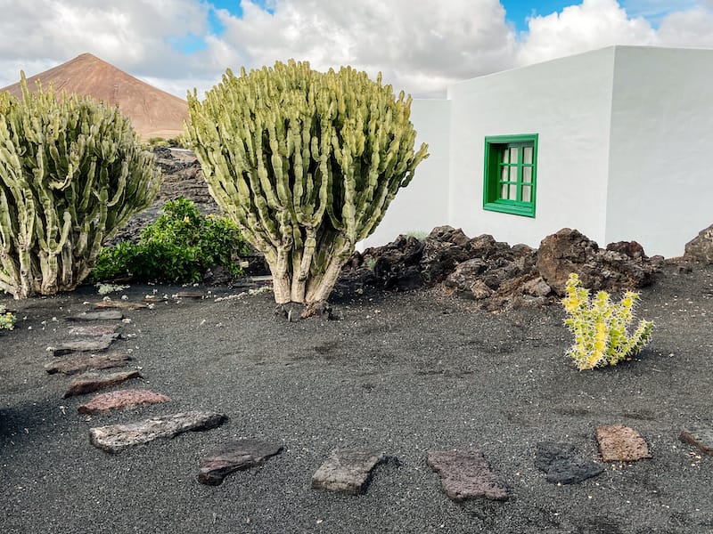 Visit Lanzarote during winter: Cesar Manrique Foundation