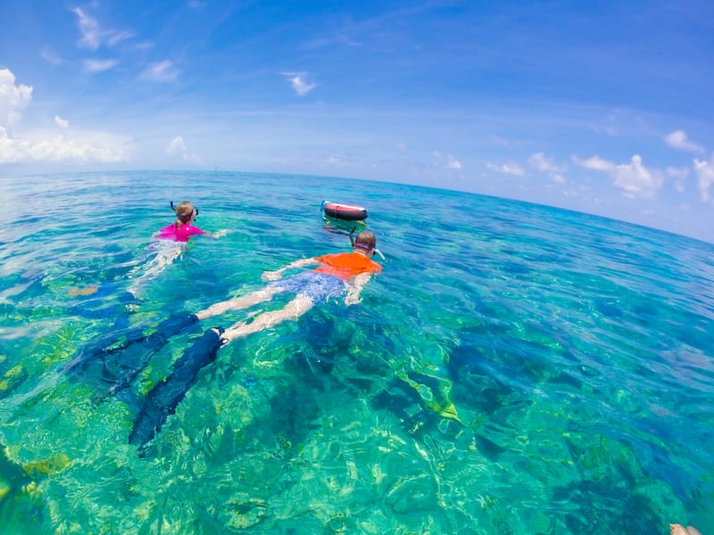 Snorkeling in Key West