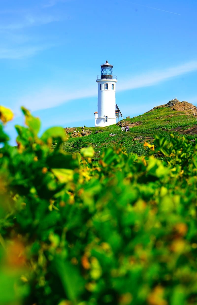 How to Visit Channel Islands National Park (+ Things to Do): Anacapa Islands