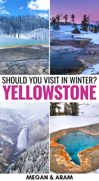 Yellowstone in Winter: Reasons to Visit, Things to Do, & Tips | Are you planning a trip to Yellowstone in winter? This guide details what to do in winter in Yellowstone National Park, including where to stay and more! | Things to do in Yellowstone | Wyoming winter | Visit Yellowstone | US National Parks | Yellowstone in December | Yellowstone in January | Yellowstone in February | Yellowstone snow | Yellowstone wildlife | Things to do in Wyoming | National Parks to Visit in winter