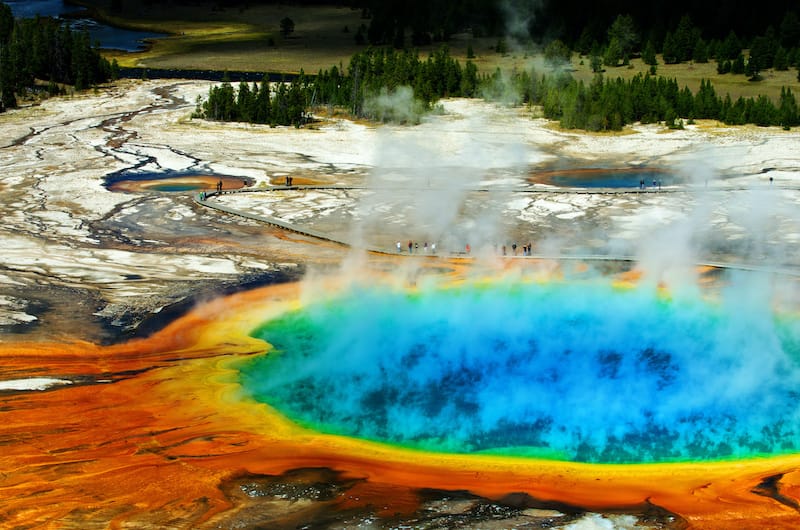 Grand Prismatic spring in yellowstone national park