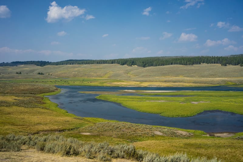 Hayden Valley 2 days in Yellowstone itinerary