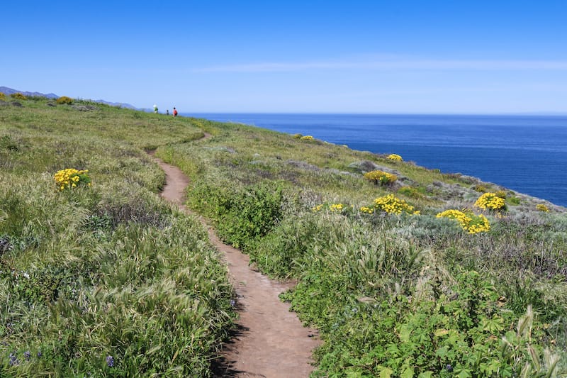 Hiking trail on Santa Cruz Island, Channel Islands National Park