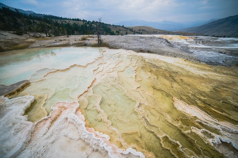 Mammoth Hot Springs in Yellowstone National Park