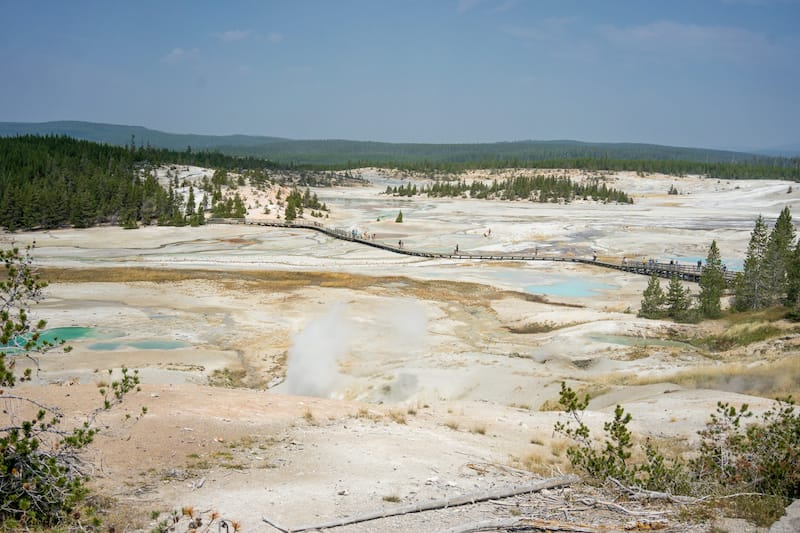 Norris Geyser Basin at Yellowstone