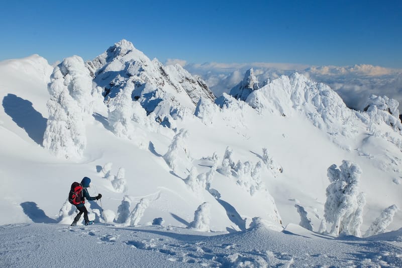 Olympic National Park Mt Ellinor in winter in Washington