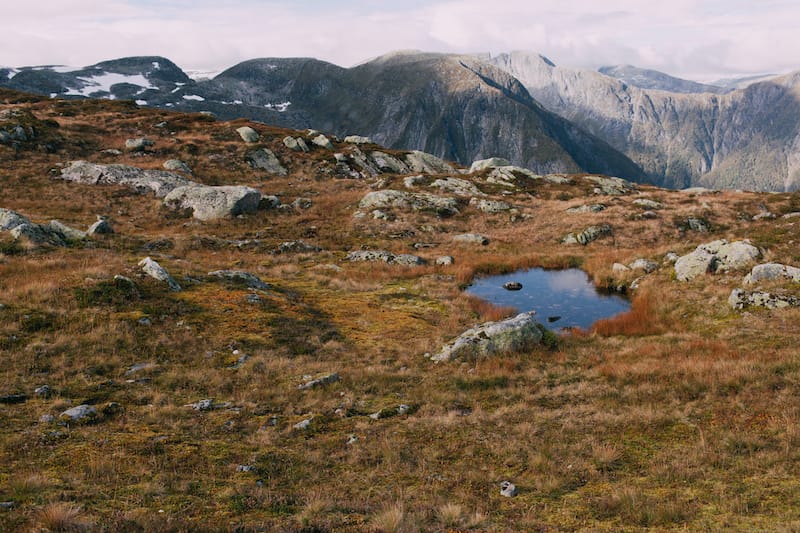 Raudmelen in Balestrand autumn