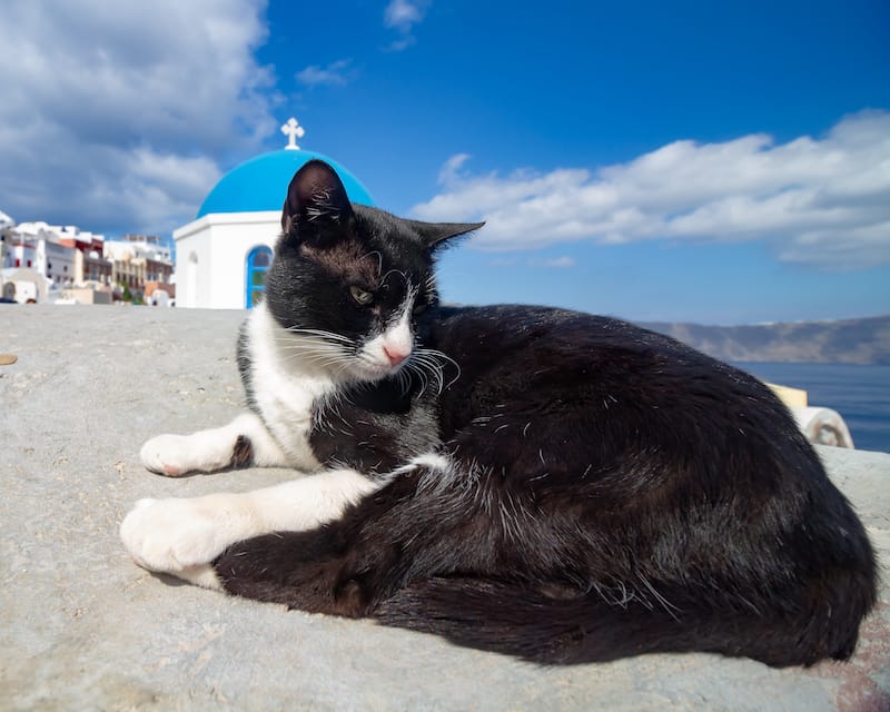 Santorini in winter