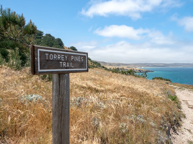 Torrey Pines trail Santa Rosa Island in California