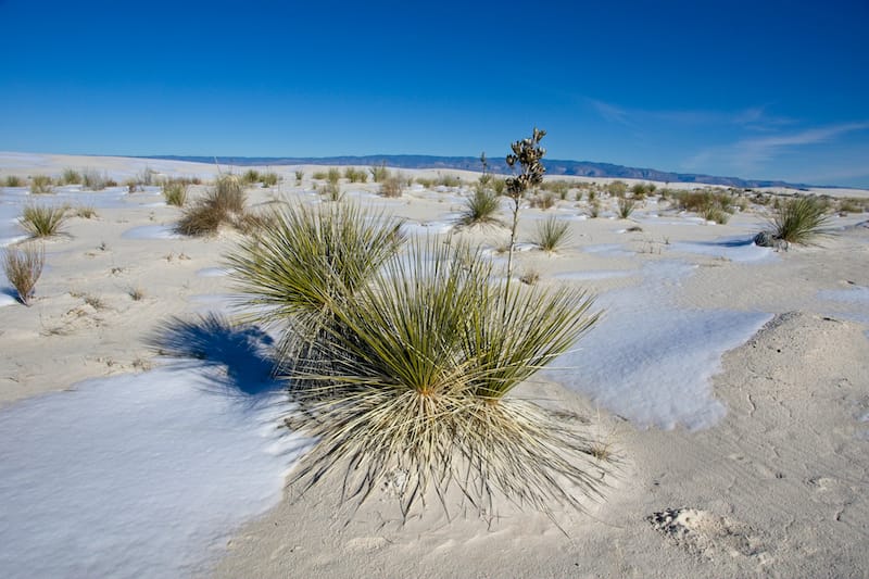 White Sands National Park in winter