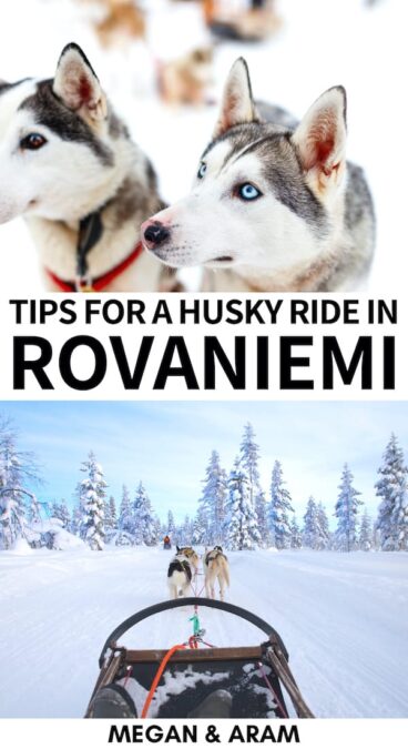 Are you planning to go dog sledding in Rovaniemi on your Lapland trip? This guide details the best husky tours in Rovaniemi, what to wear, and much more! | Dog sledding Lapland | Dog sledding Rovaniemi | Husky ride Rovaniemi | Rovaniemi tours | Rovaniemi husky safari | Finland dog sledding | Finland winter | Rovaniemi winter | Things to do in Rovaniemi | Things to do in Lapland