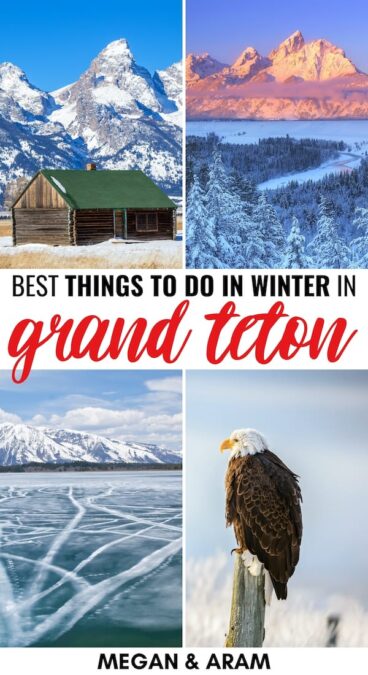 Grand Teton National Park in Winter: Reasons to Visit, Things to Do, & Tips | Are you planning a trip to Grand Teton in winter? This guide details what to do in winter in Grand Teton National Park, including where to stay and more! | Things to do in Grand Teton | Wyoming winter | Visit Grand Teton | US National Parks | Grand Teton in December | Grand Teton in January | Grand Teton in February | Grand Teton snow | Grand Teton wildlife | Things to do in Wyoming | National Parks to Visit in winter