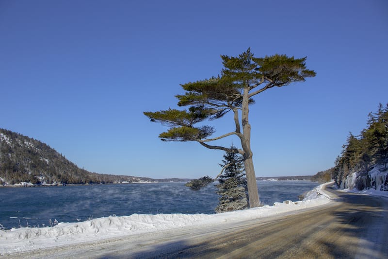 Acadia National Park in the Winter with a view of Mt. Desert Narrows.