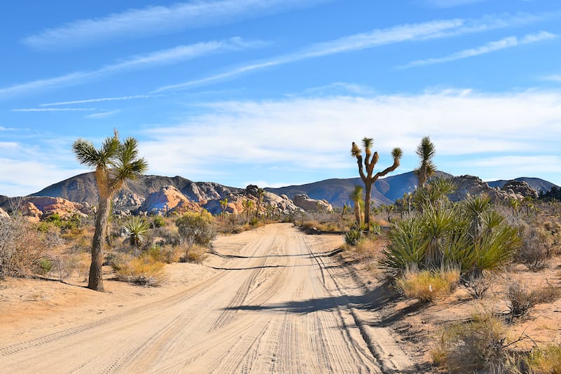 Dirt road in Joshua Tree National Park leading to Keys Ranch