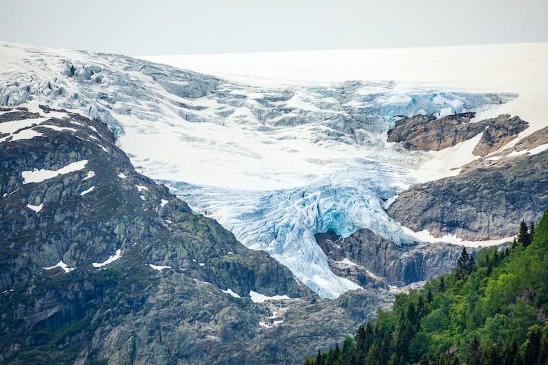 Folgefonna glacier cap in the mountains with forest in the foreground, Odda, Hardanger region